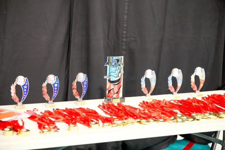 tournoi argenton sur creuze 15022026 médailles 14